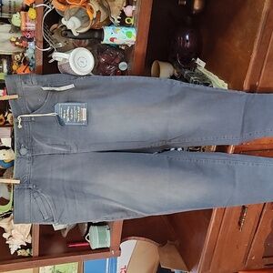 NWT Democracy Absolution Gray Jeans